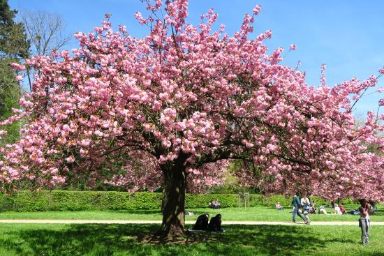 Domaine départemental de Sceaux